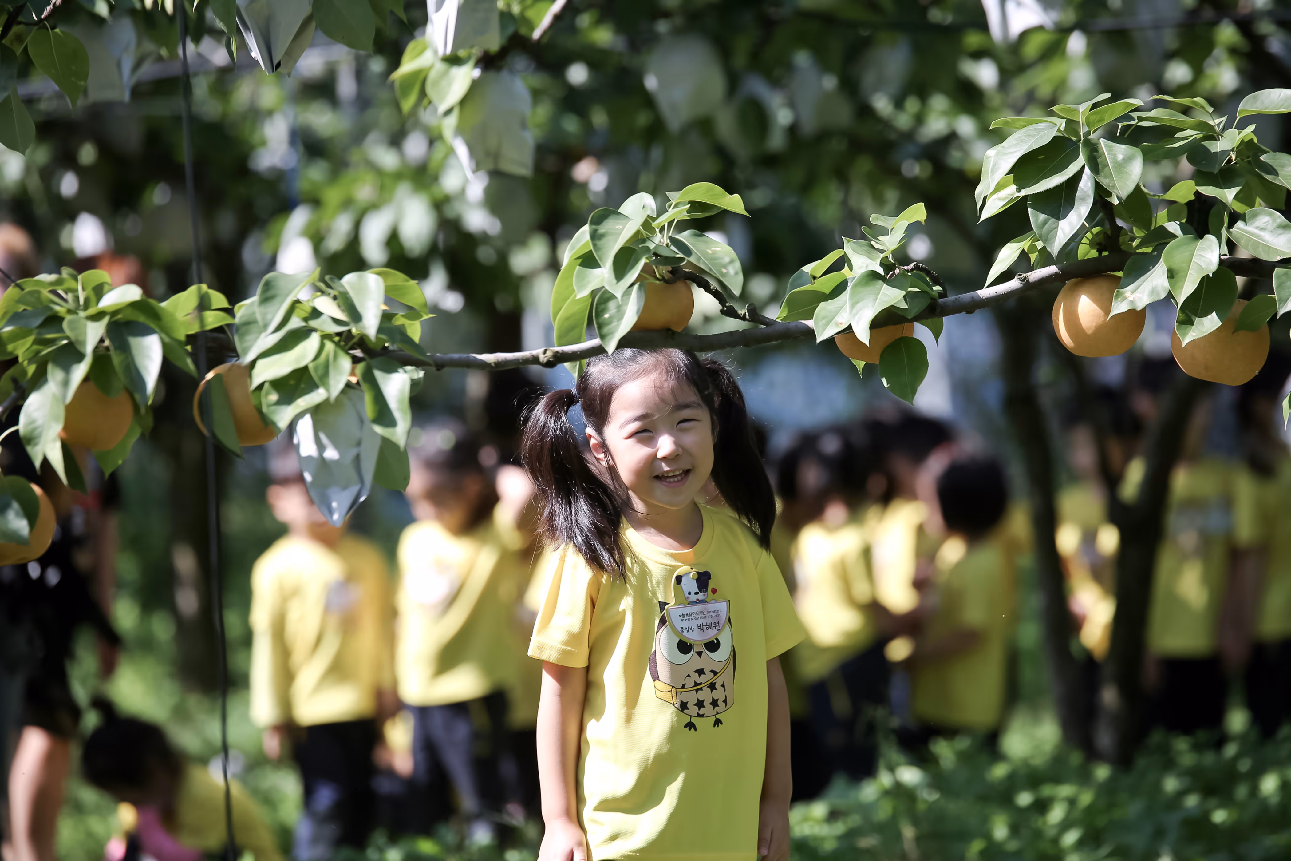 새홀리기 촬영 3