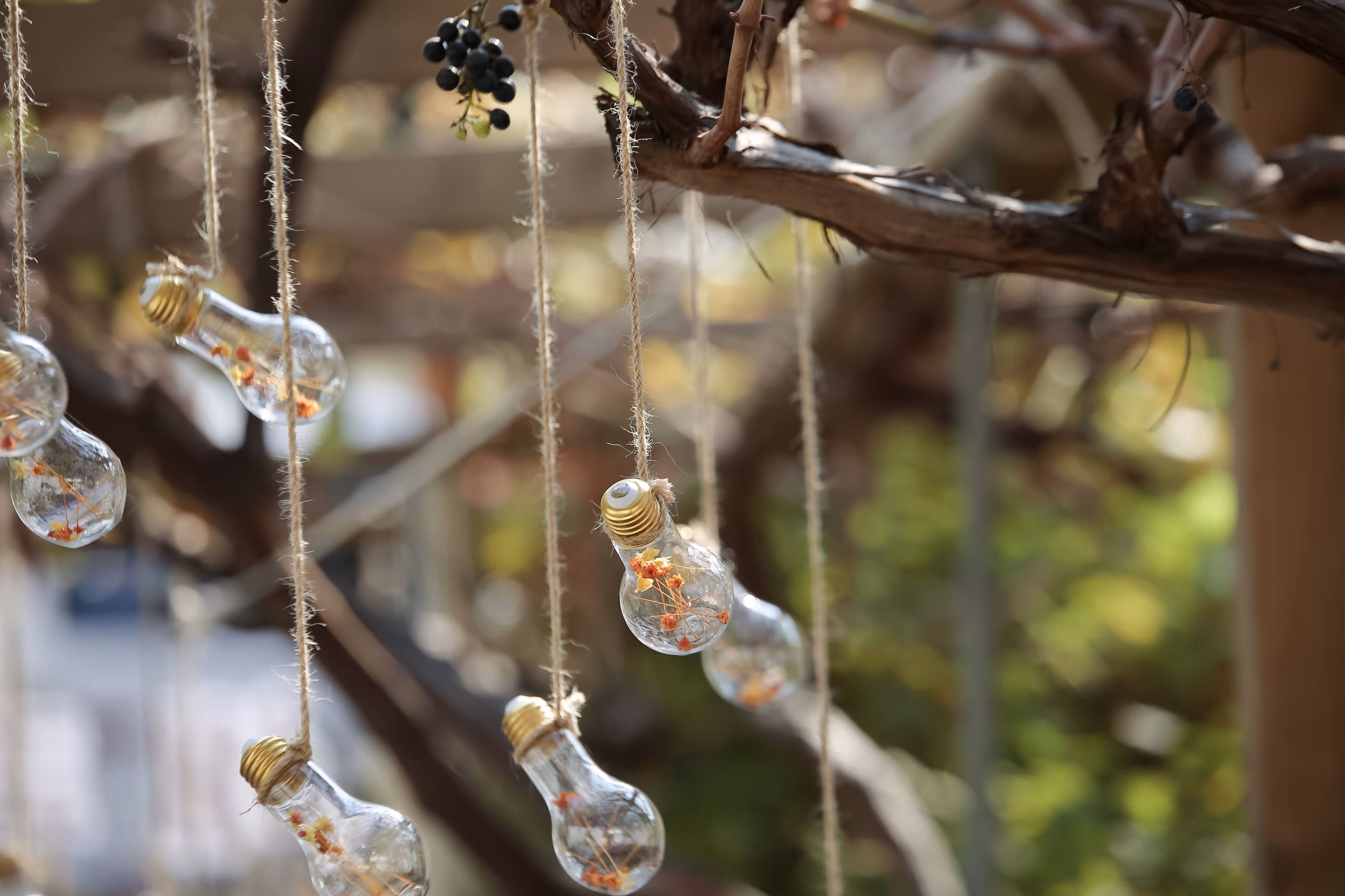 새홀리기 촬영 15